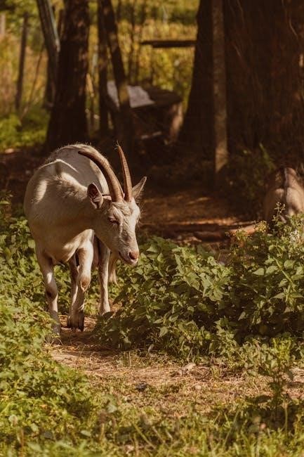 deer run treadmill manual pdf